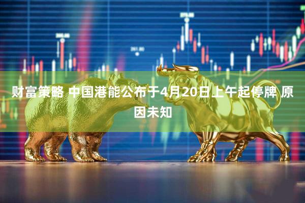 财富策略 中国港能公布于4月20日上午起停牌 原因未知