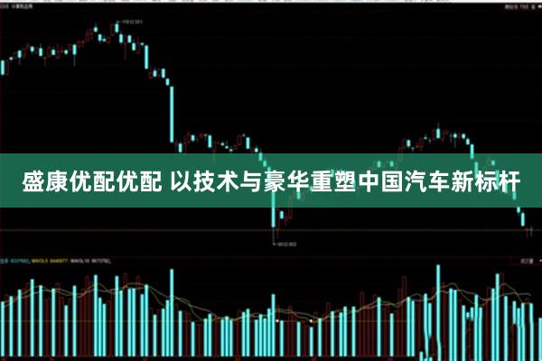 盛康优配优配 以技术与豪华重塑中国汽车新标杆