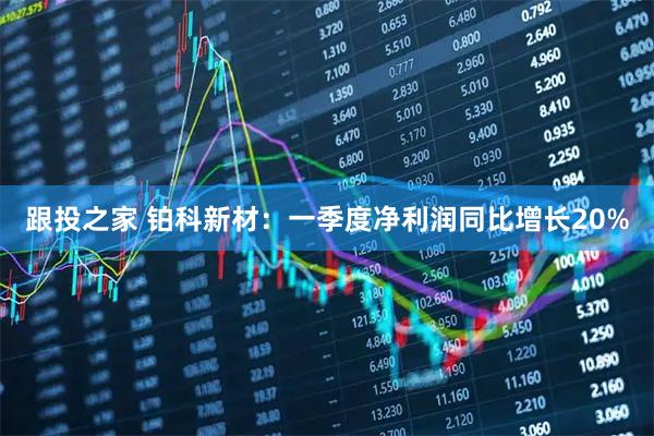 跟投之家 铂科新材：一季度净利润同比增长20%